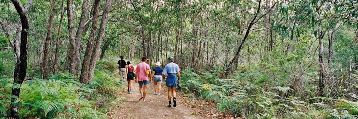 Bushwacker Eco Tours North Stradbroke Island Day 4WD Tour