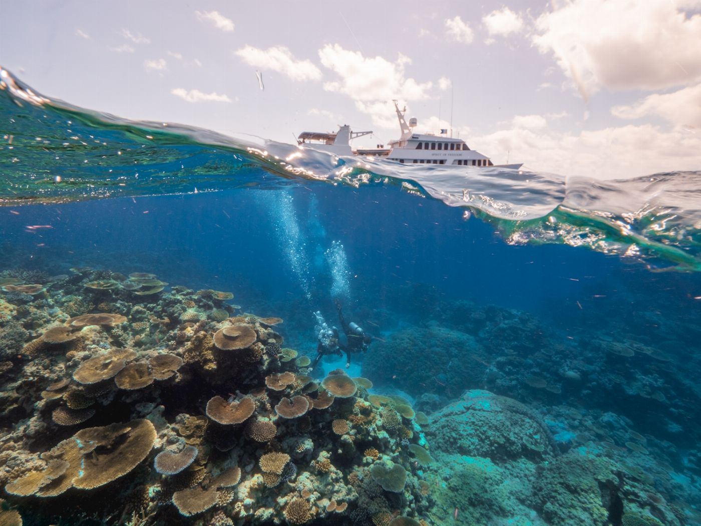 Spirit of Freedom Coral Sea 4 Night Liveaboard
