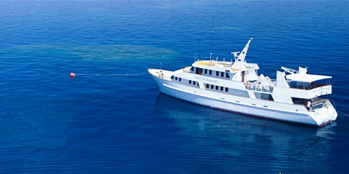 Spirit of Freedom Cod Hole & Coral Sea 7 Night Adventure