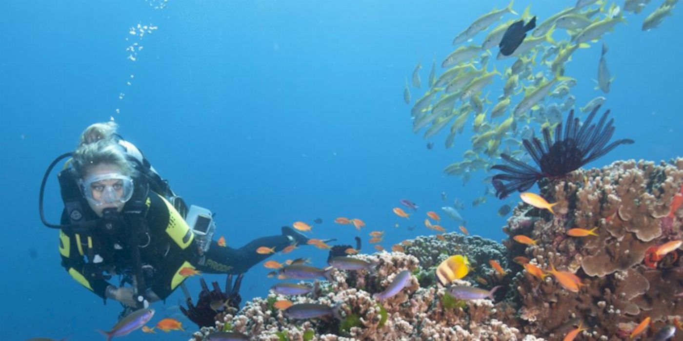 Spirit of Freedom Cod Hole & Coral Sea 7 Night Adventure