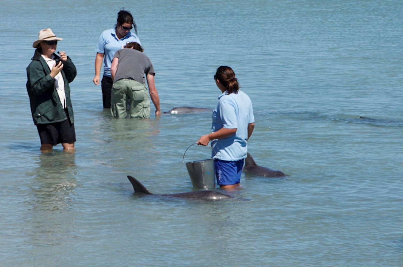 Kalbarri Scenic Flights Monkey Mia Dolphin Spectacular Tour