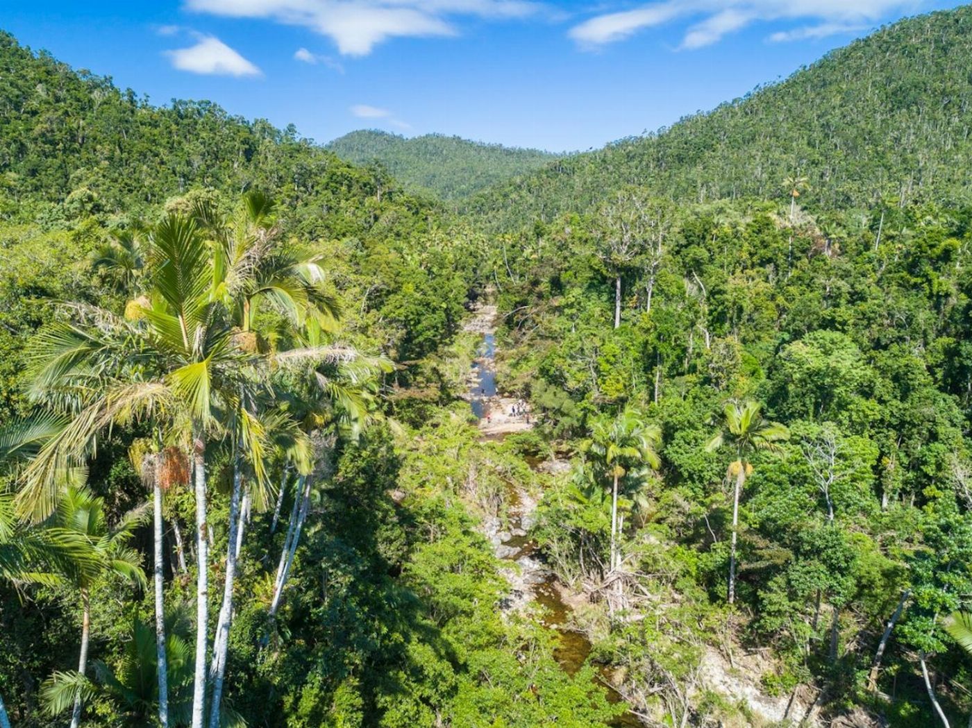 Whitsunday Segway Tours Segway Rainforest Discovery Tour