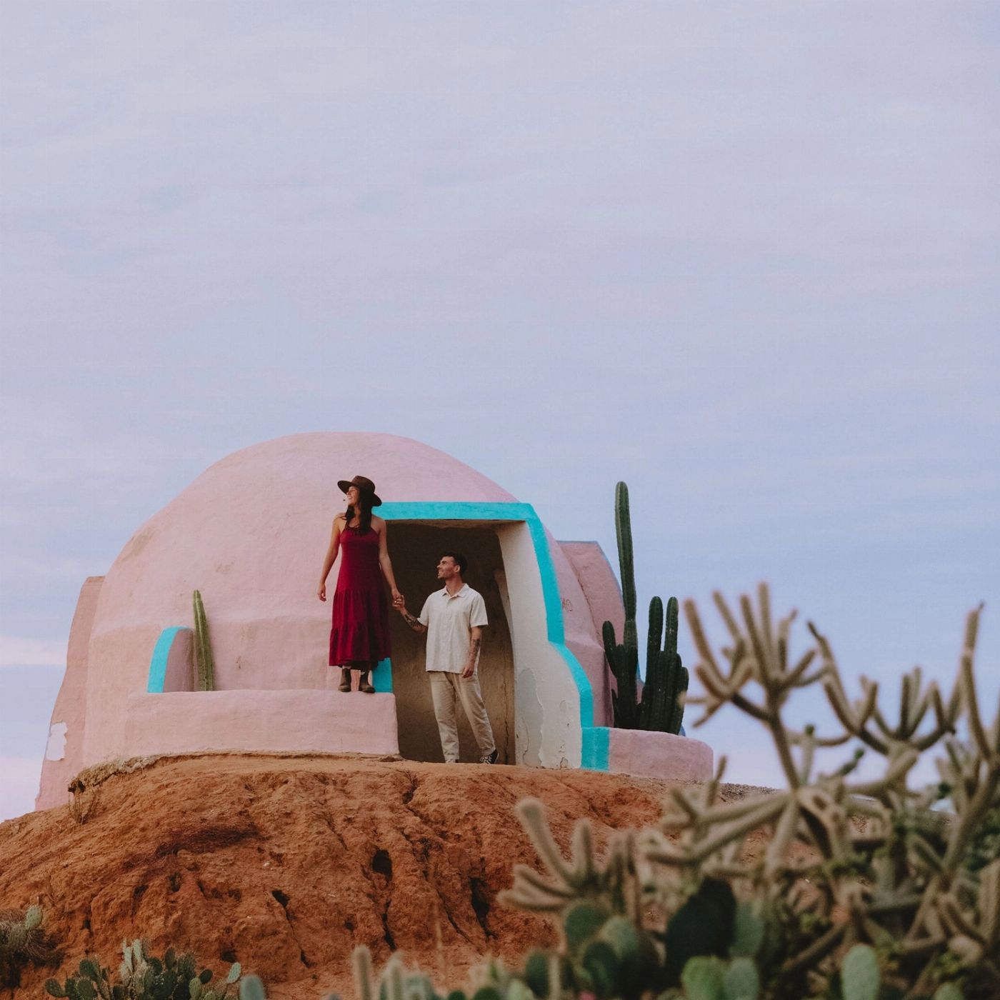 Cactus Country Garden Entry