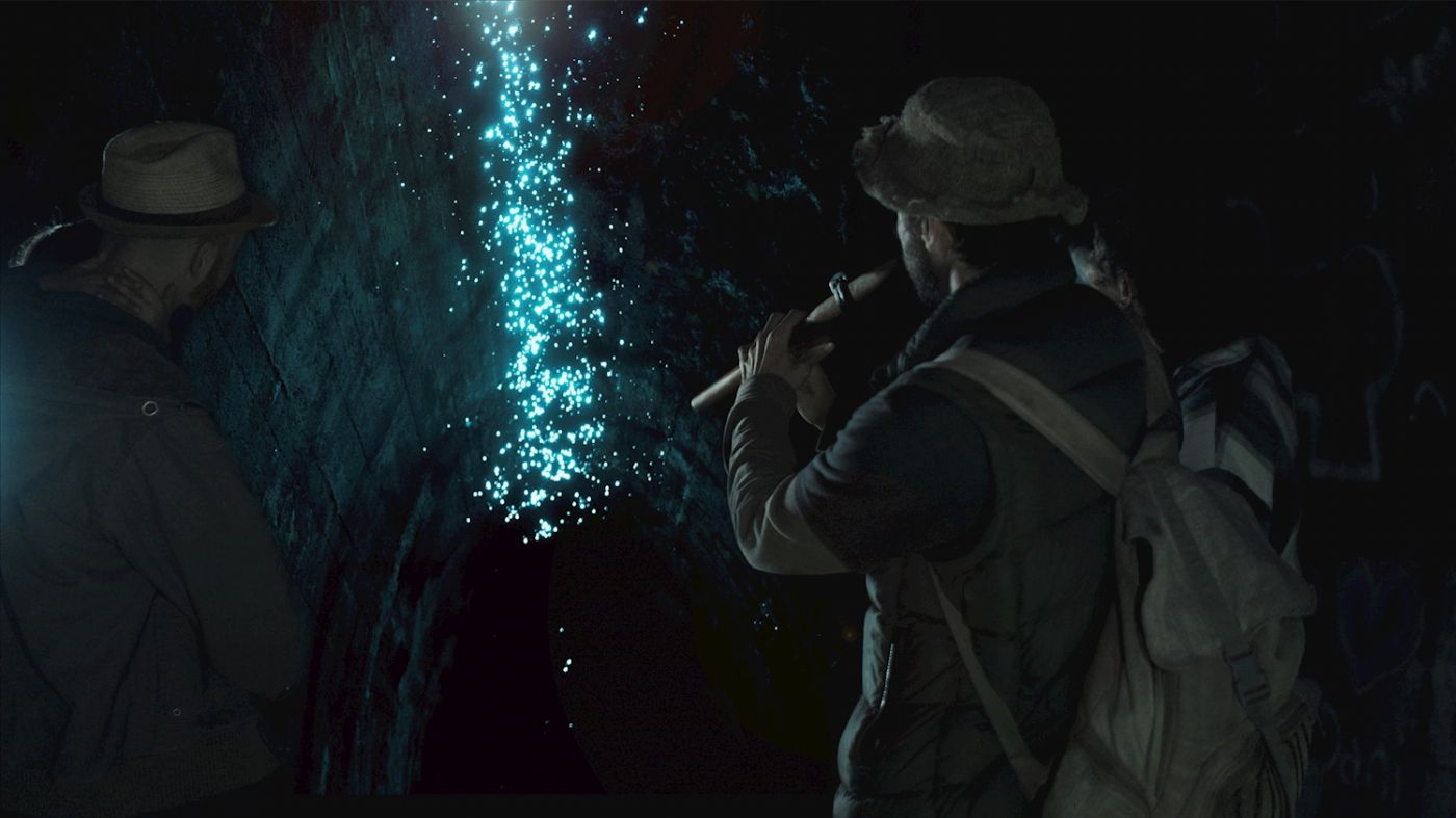 Rise Up Hinterland Waterfall & Glow-worm Experience