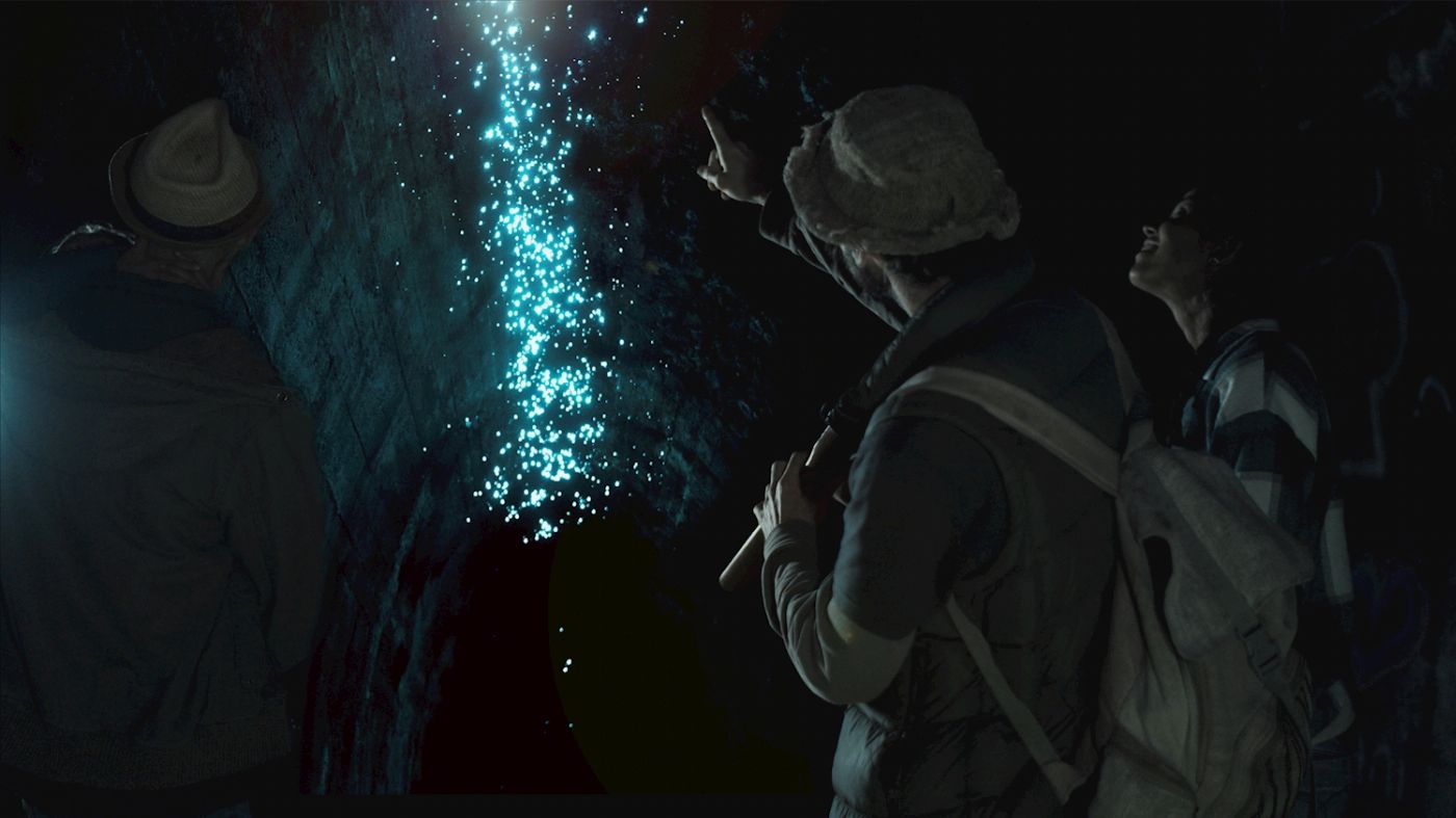 Rise Up Hinterland Waterfall & Glow-worm Experience