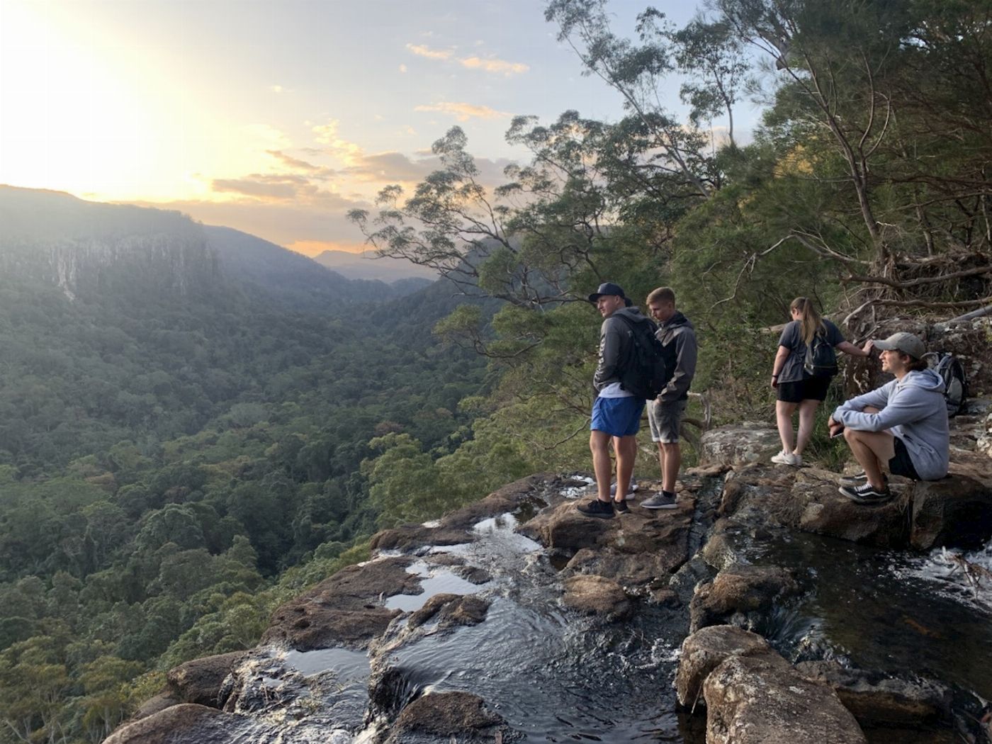 Rise Up Hinterland Waterfall & Glow-worm Experience