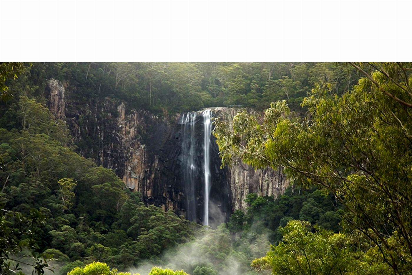 Rise Up Hinterland Waterfall & Glow-worm Experience
