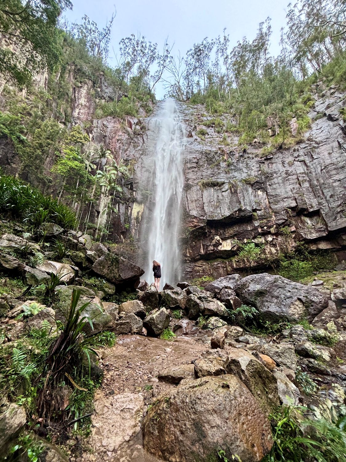 Rise Up Hinterland Waterfall & Glow-worm Experience