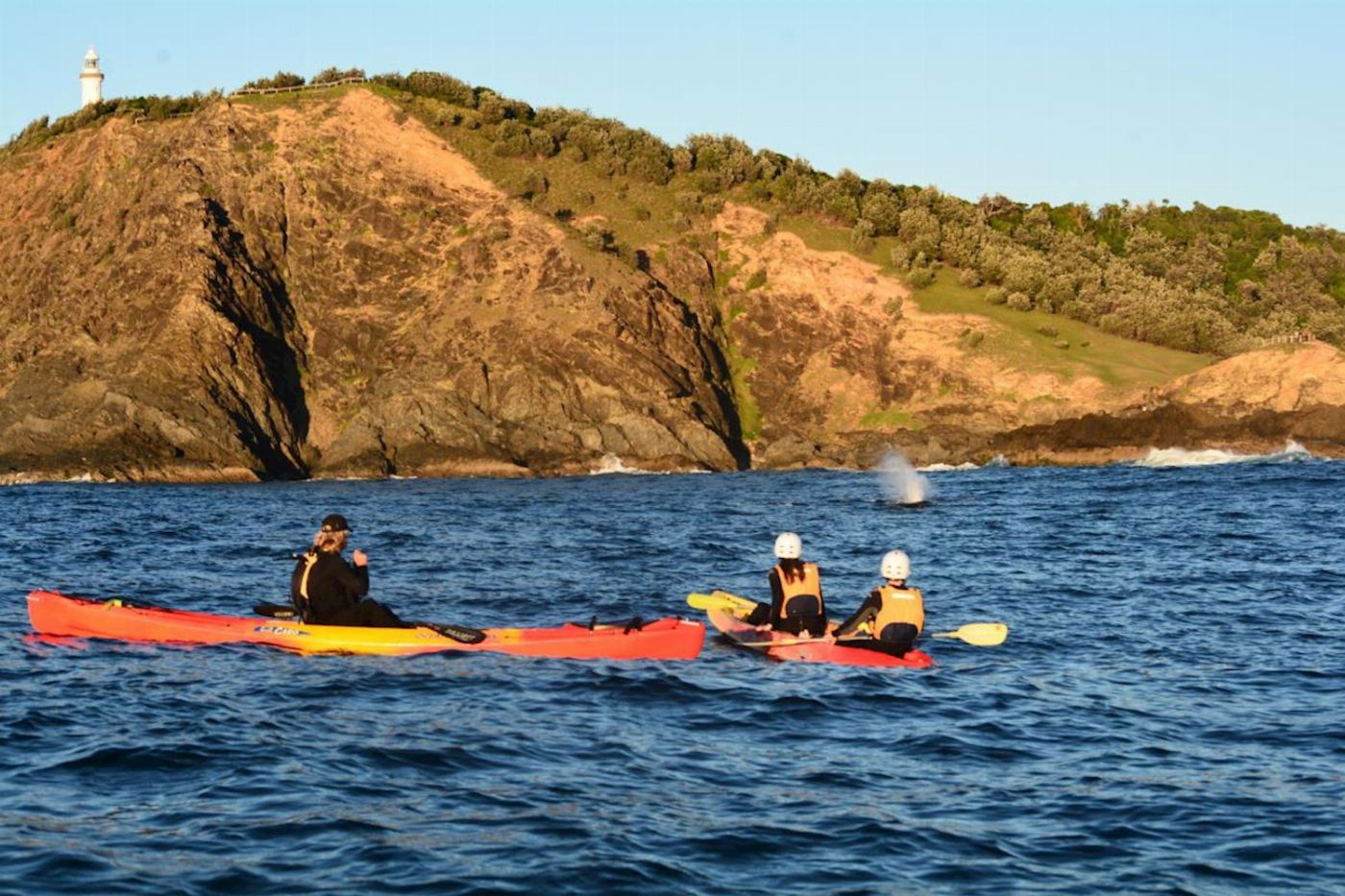 Go Sea Kayak Byron Bay Sea Kayak Tour (Sunrise)