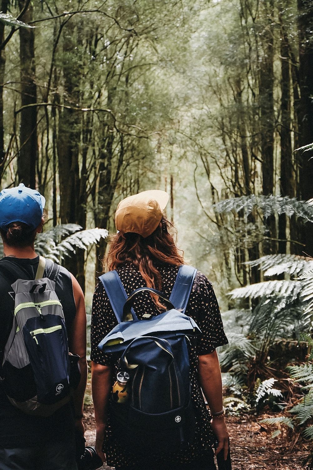 Hike & Seek Small Group - 12 Apostles, Great Otways & Great Ocean Road Day Tour