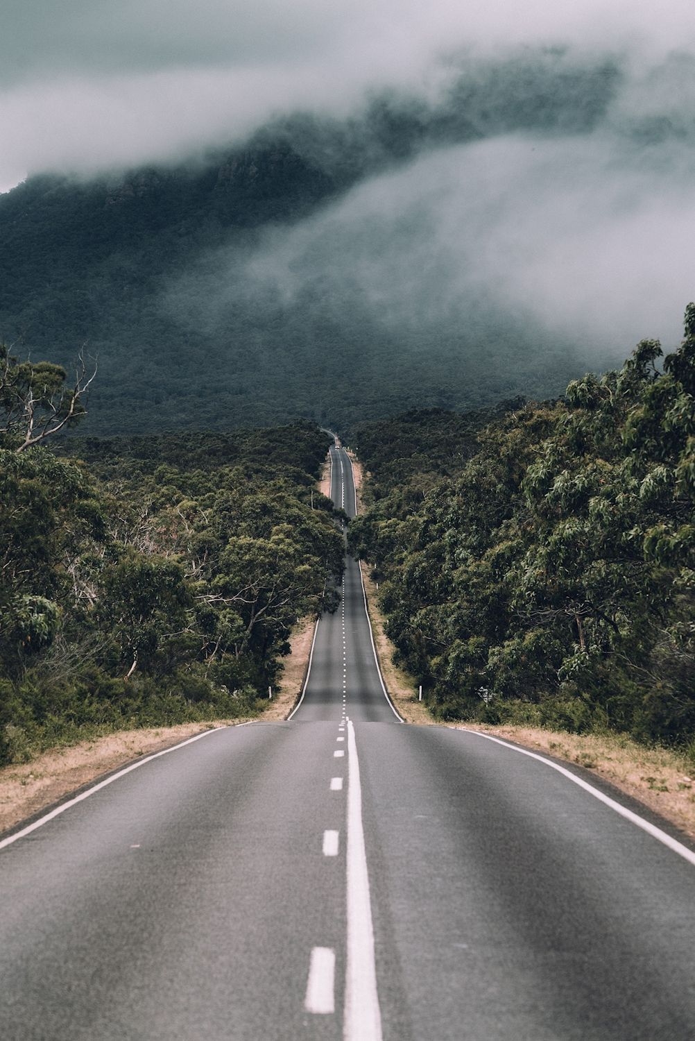 Hike & Seek Small Group - The Grampians Day Tour