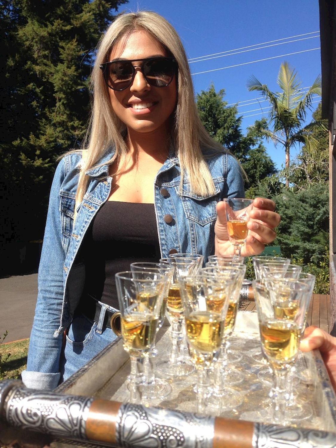 The Vino Bus Full Day Winery Tour - Brisbane Pick Up