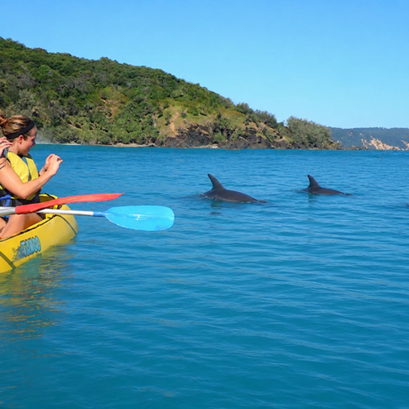 Epic Ocean Adventures Noosa: Epic Dolphin Ocean Kayak Tour & Beach 4X4 Adventure