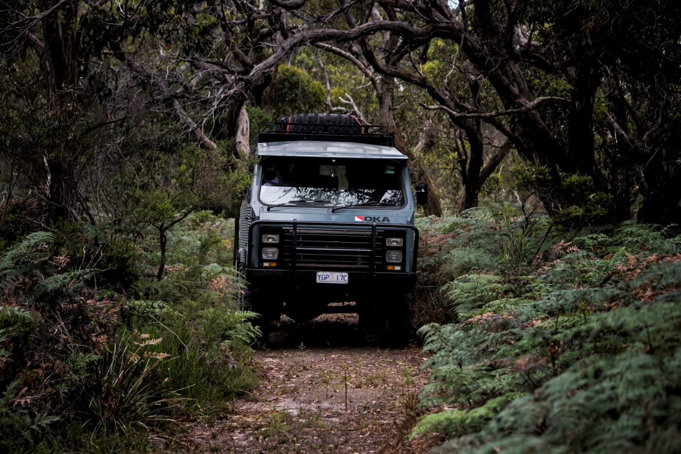 Explore Australia French & Phillip Island Wildlife Expedition