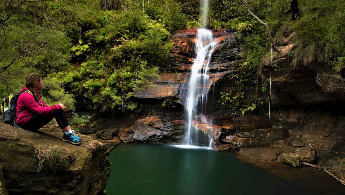 Wildscape Adventures Blue Mountains Night Adventure & Guided Glow Worms Tour Wildlife Spotlighting