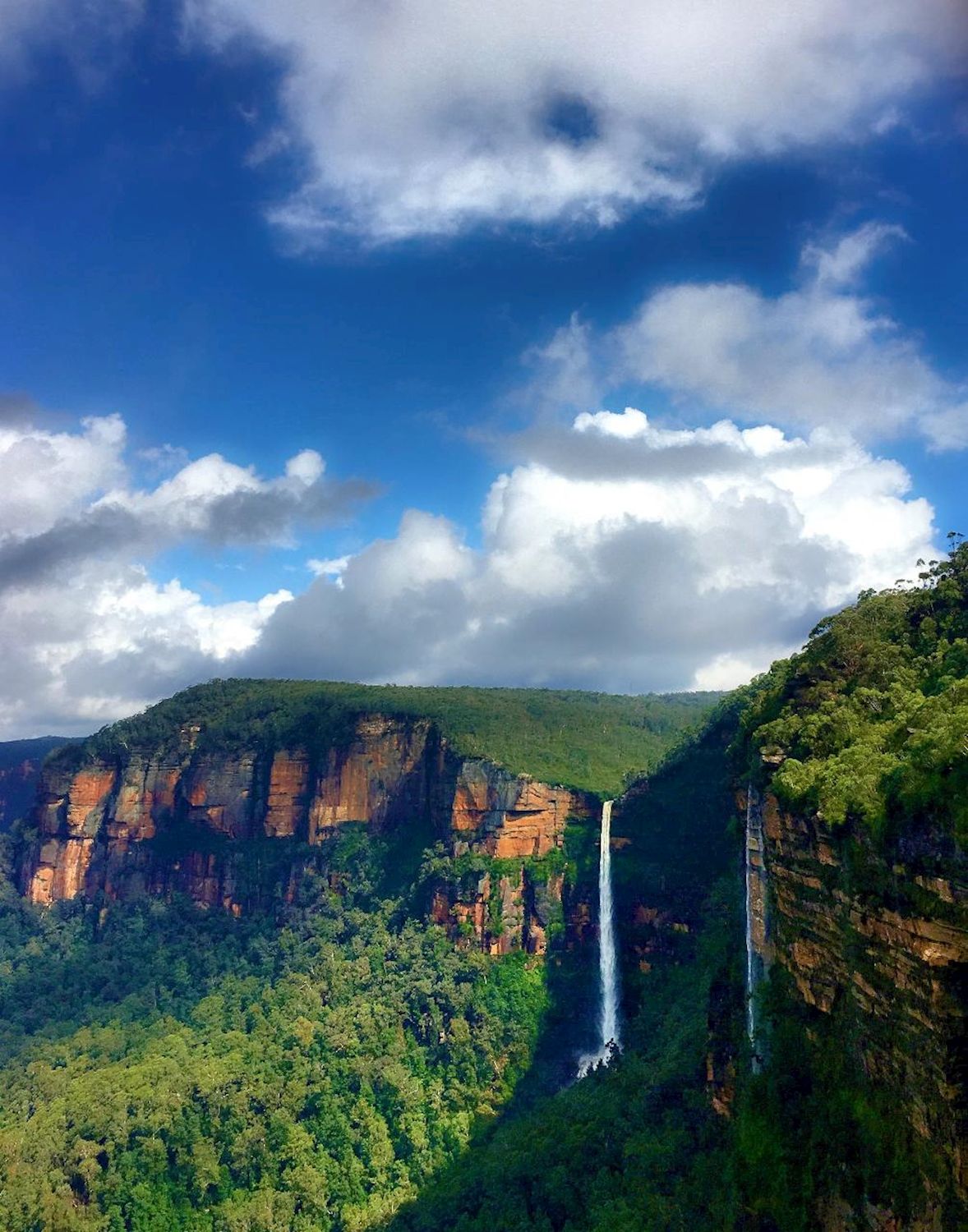 Wildscape Adventures Blue Mountains Night Adventure & Guided Glow Worms Tour Wildlife Spotlighting