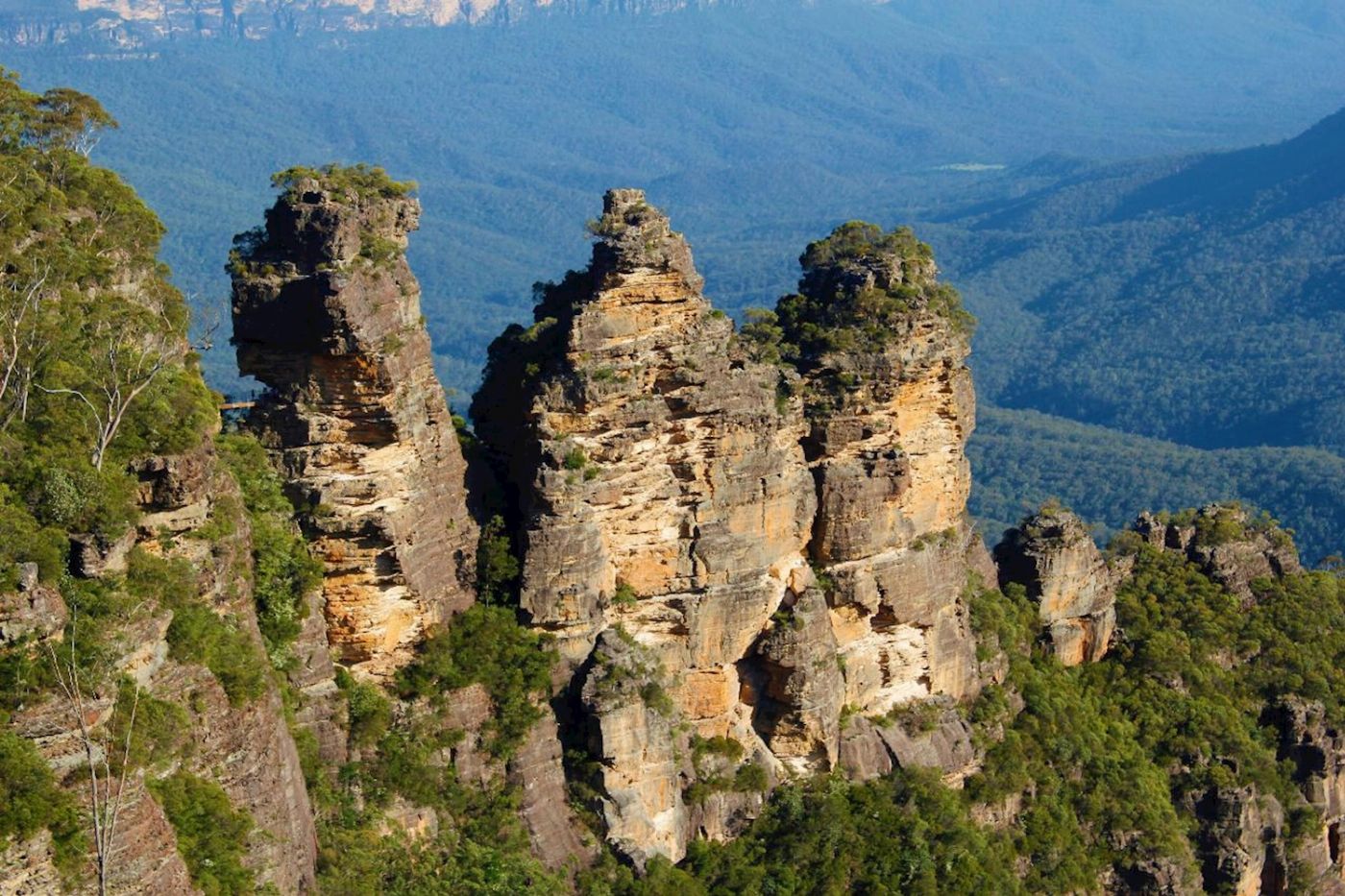 Wildscape Adventures Blue Mountains Night Adventure & Guided Glow Worms Tour Wildlife Spotlighting