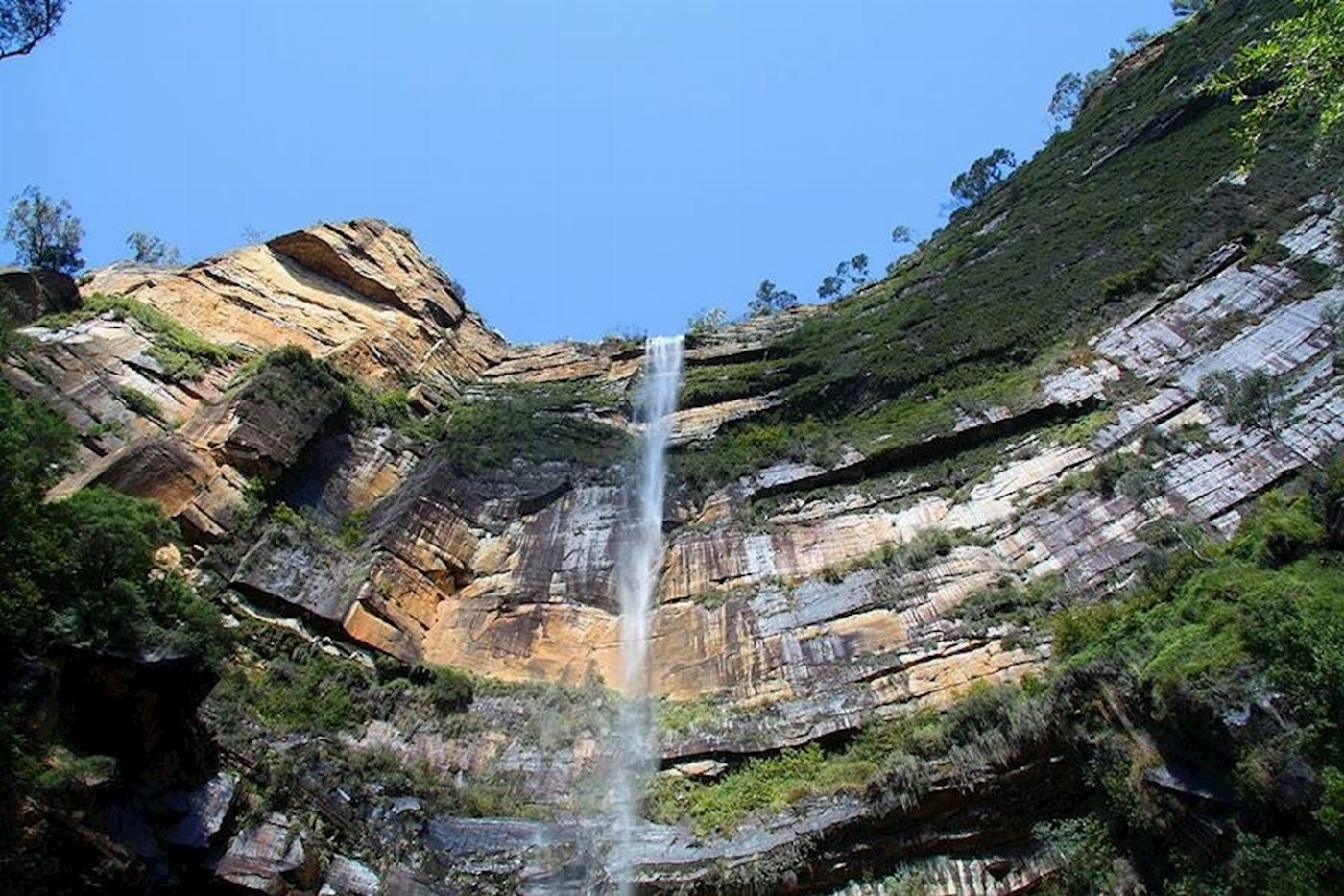 Wildscape Adventures Blue Mountains Night Adventure & Guided Glow Worms Tour Wildlife Spotlighting