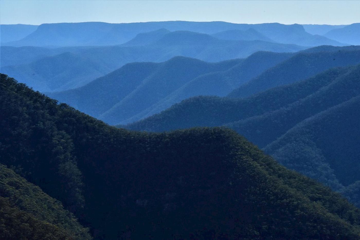 Wildscape Adventures Blue Mountains Night Adventure & Guided Glow Worms Tour Wildlife Spotlighting