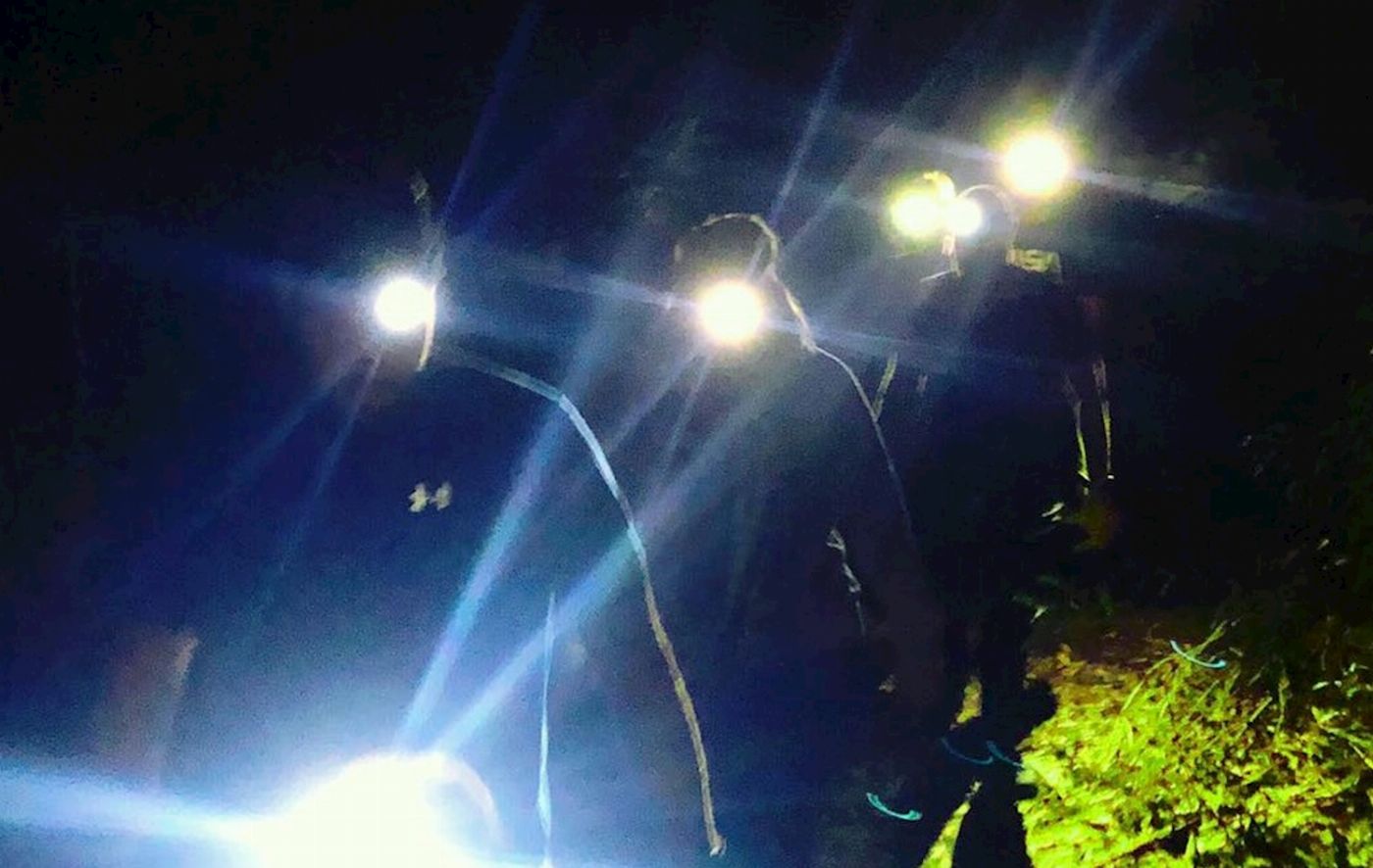 Wildscape Adventures Blue Mountains Into The Wild Overnight Camping 4WD Off Road Wilderness Adventure + River cruise.