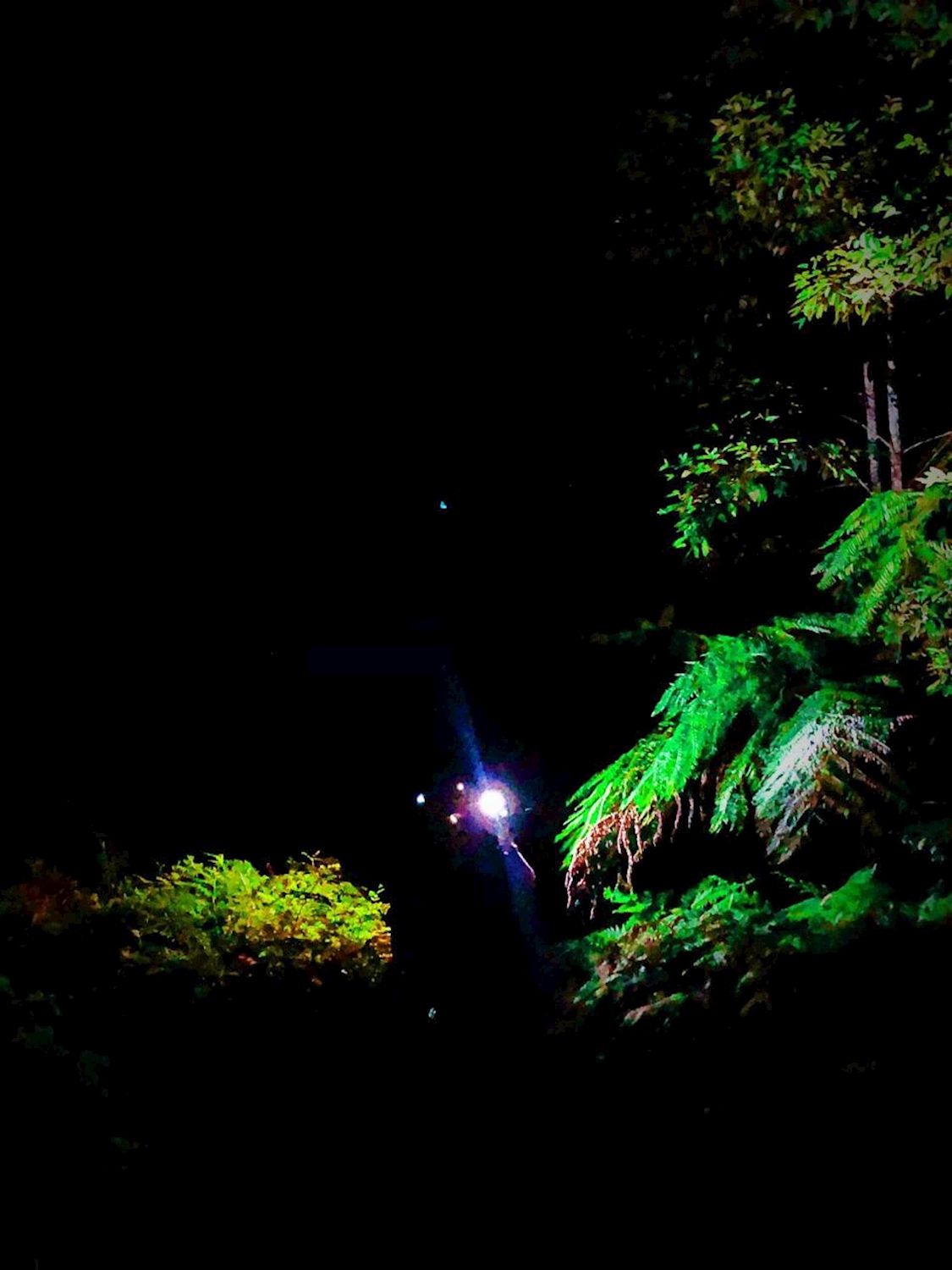 Wildscape Adventures Blue Mountains Into The Wild Overnight Camping 4WD Off Road Wilderness Adventure + River cruise.