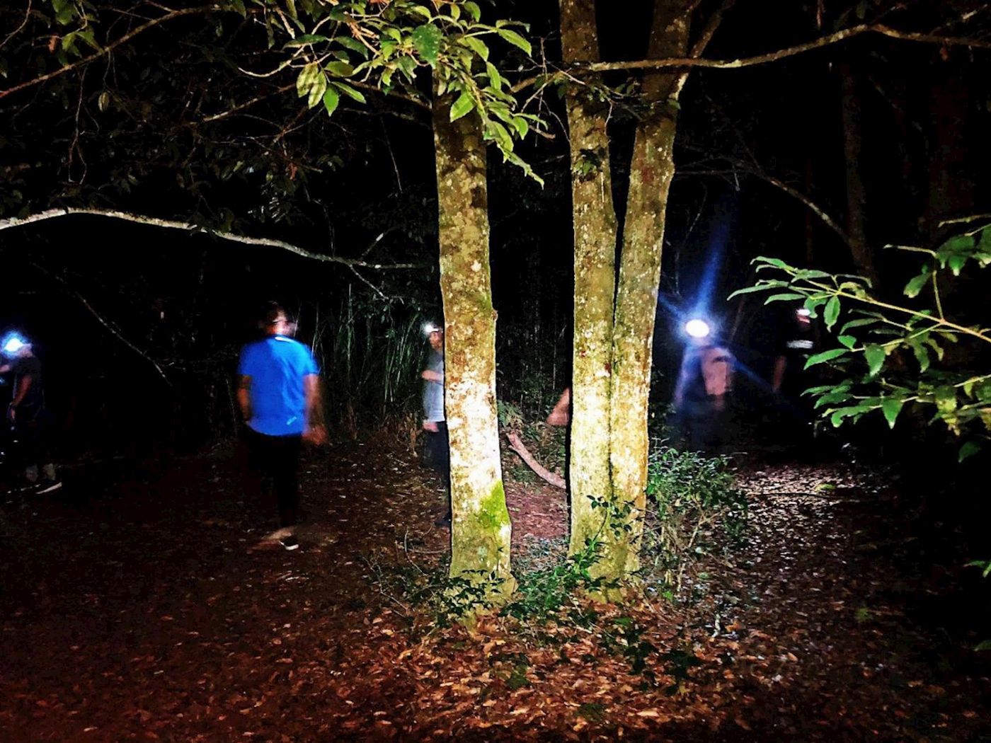 Wildscape Adventures Blue Mountains Into The Wild Overnight Camping 4WD Off Road Wilderness Adventure + River cruise.
