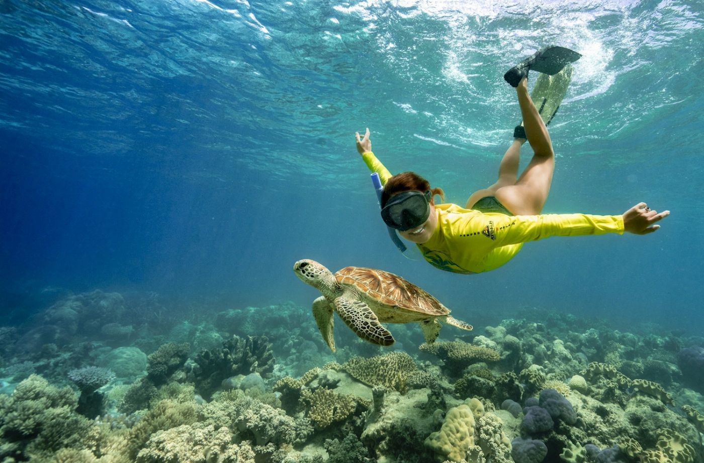 Ocean Safari Great Barrier Reef Snorkel Tour (Afternoon)