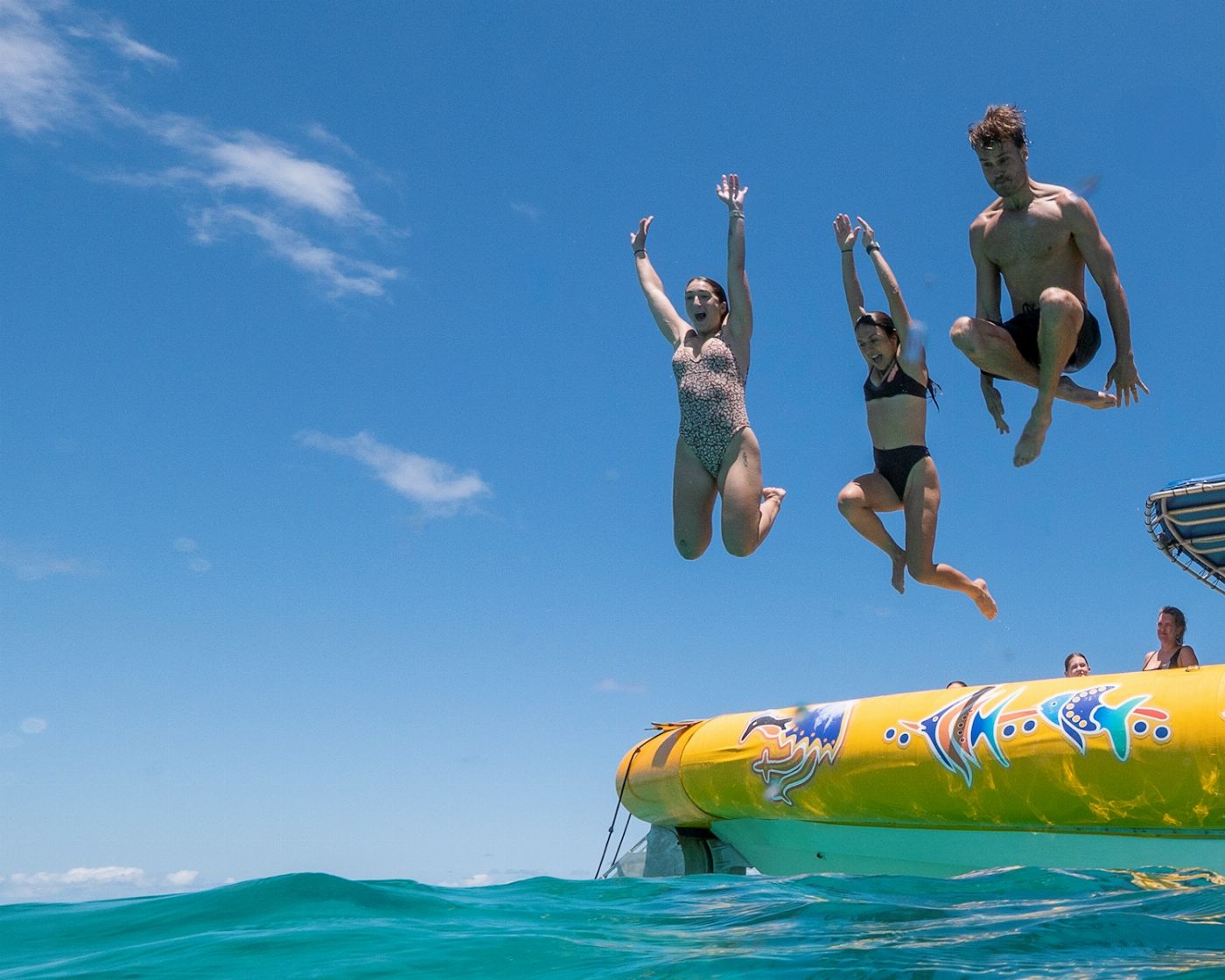 Ocean Safari Great Barrier Reef Snorkel Tour (Afternoon)
