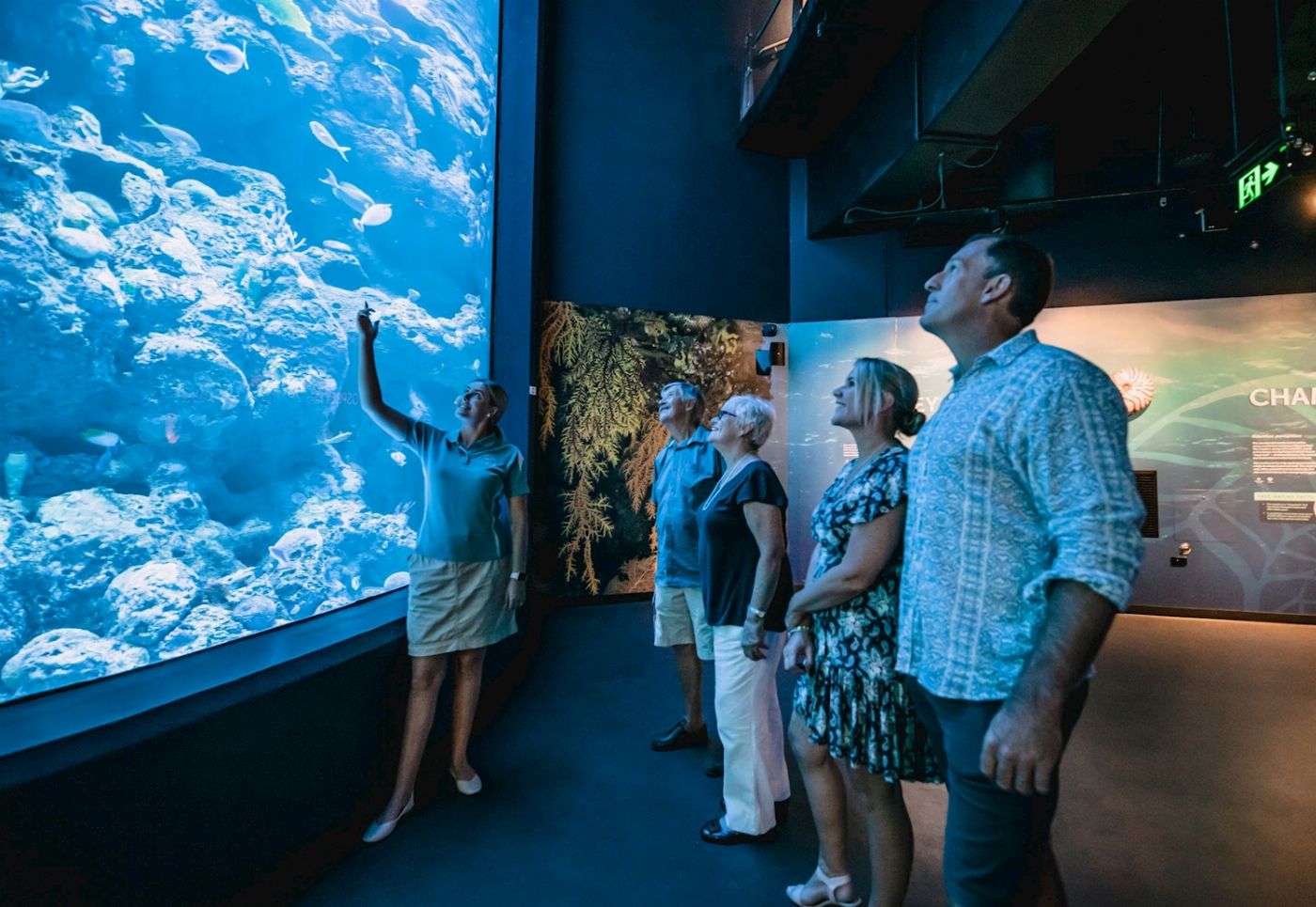 Cairns Aquarium Aquarium by Twilight Tour & 3 Course Dinner