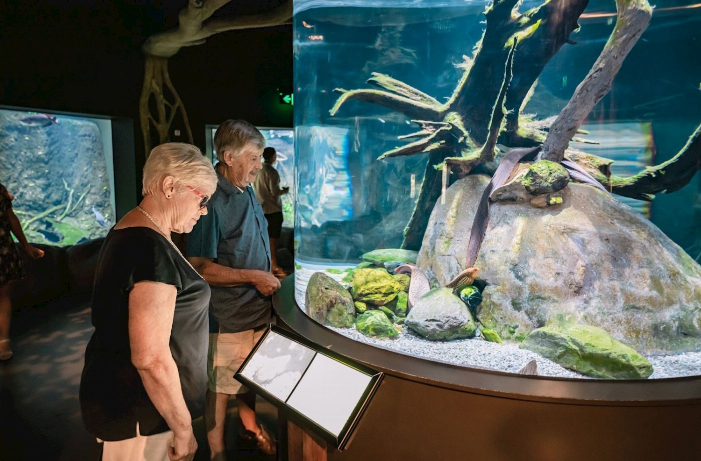 Cairns Aquarium Aquarium by Twilight Tour & 3 Course Dinner