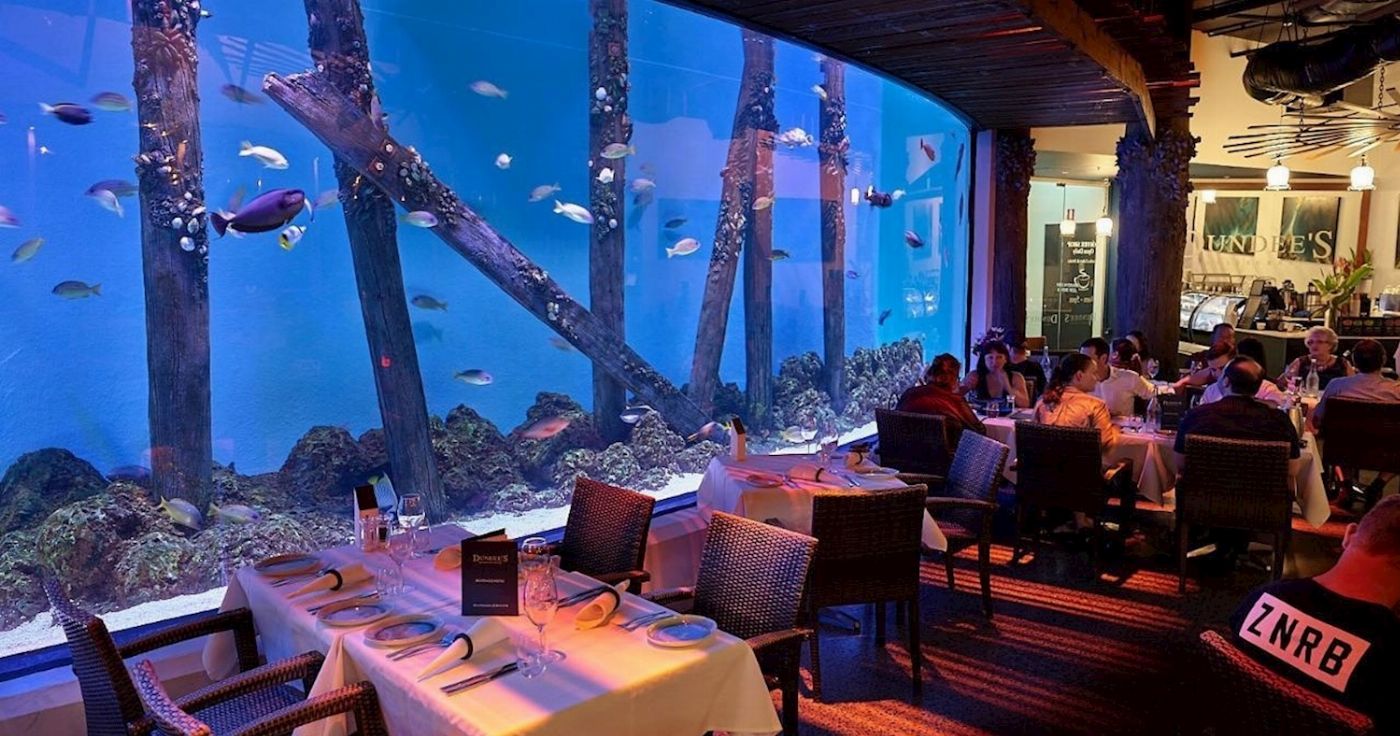 Cairns Aquarium Aquarium by Twilight Tour & 3 Course Dinner