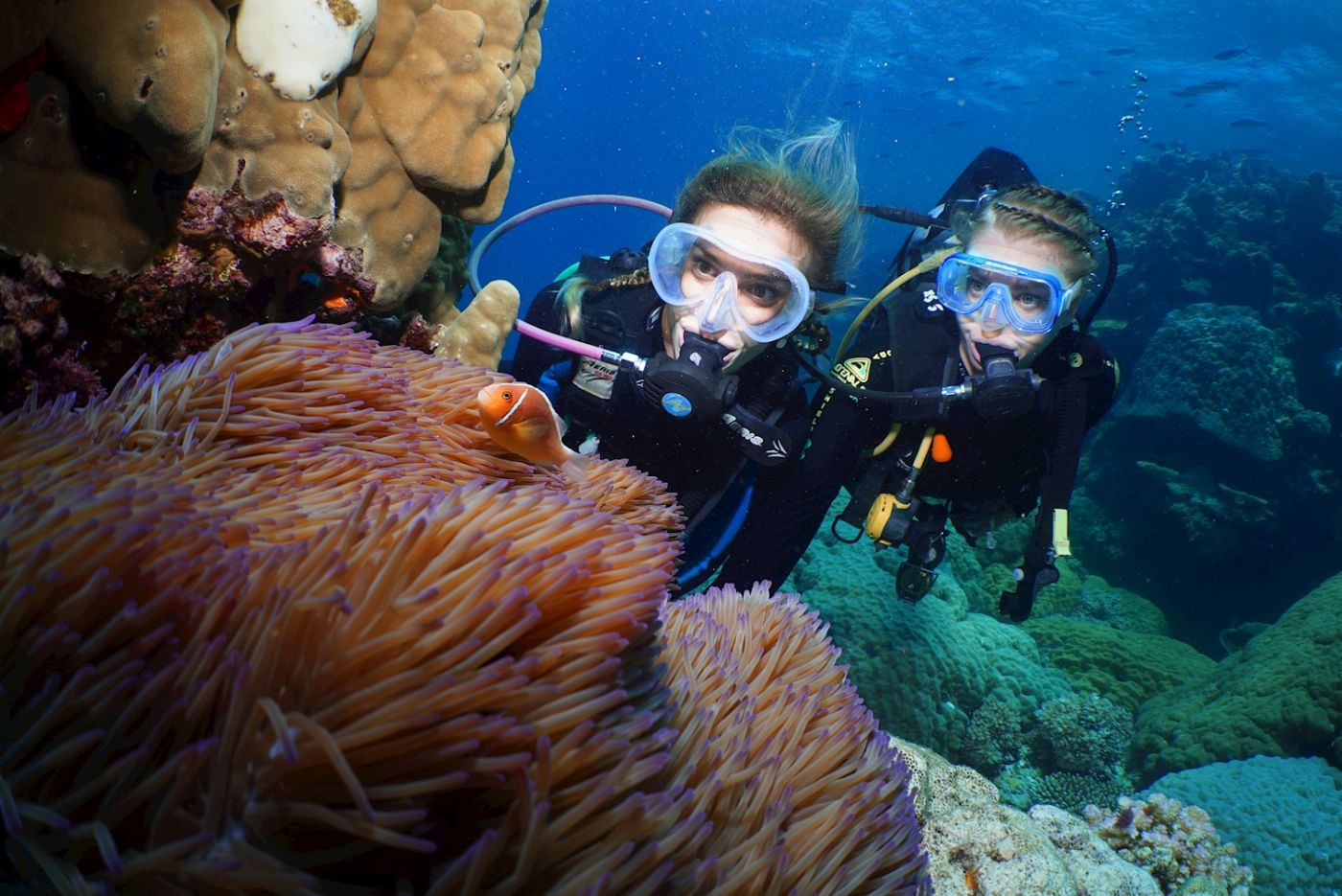 Quicksilver Dive PADI 3 Day Learn to Dive