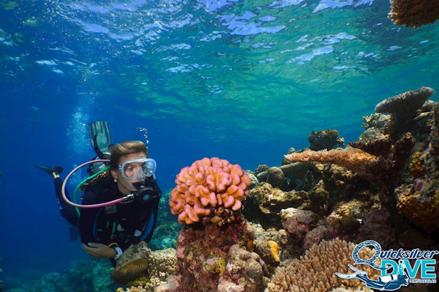 Quicksilver Dive PADI 4 Day Learn to Dive