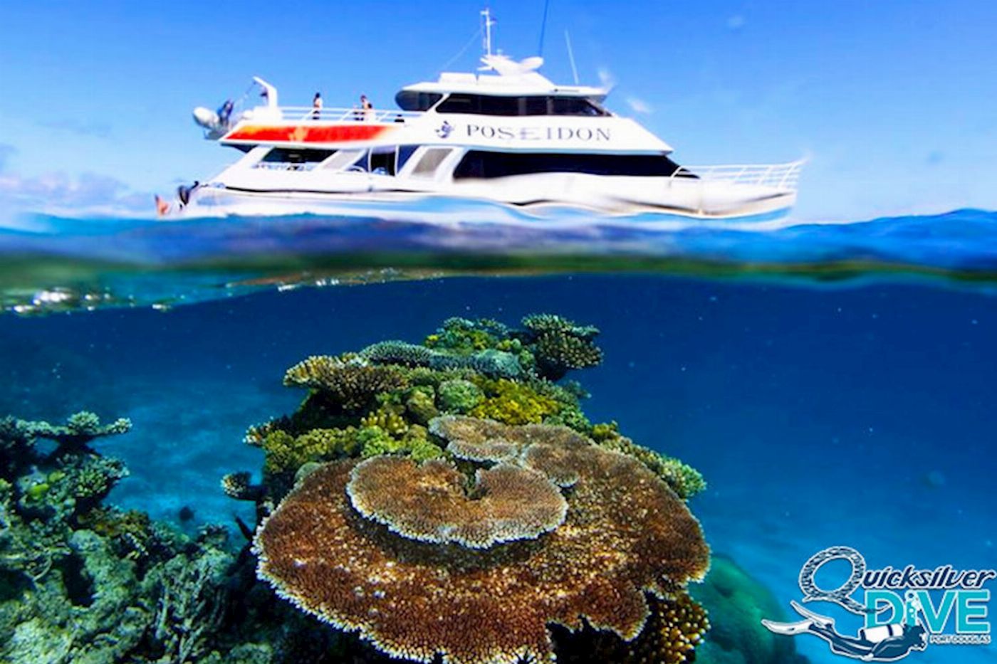 Quicksilver Dive PADI 4 Day Learn to Dive
