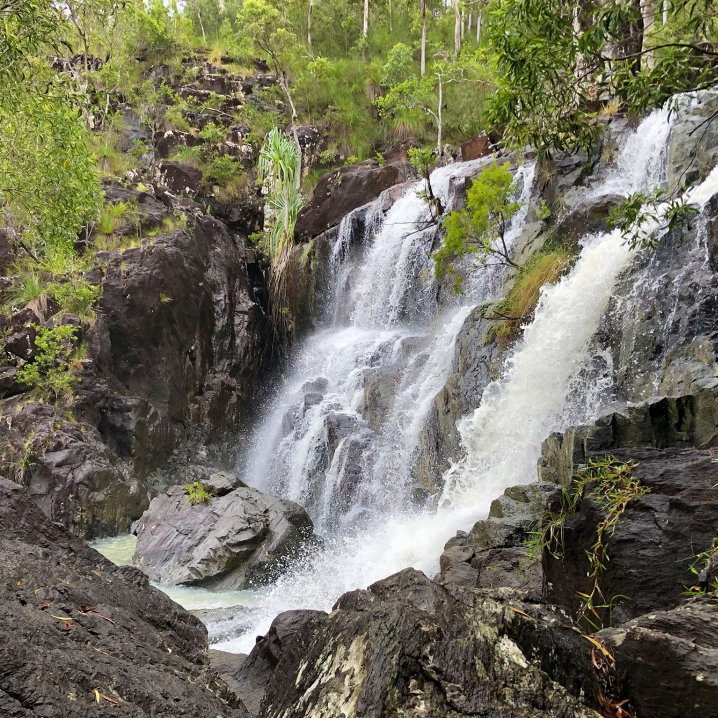 Red Cat Adventures Falls to Paradise