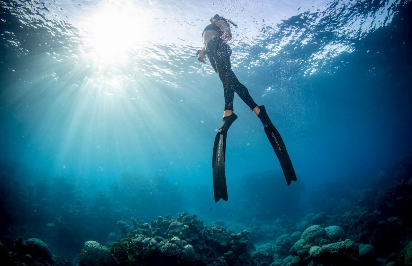 Reef Encounter Snorkel Adventure 2D/1N