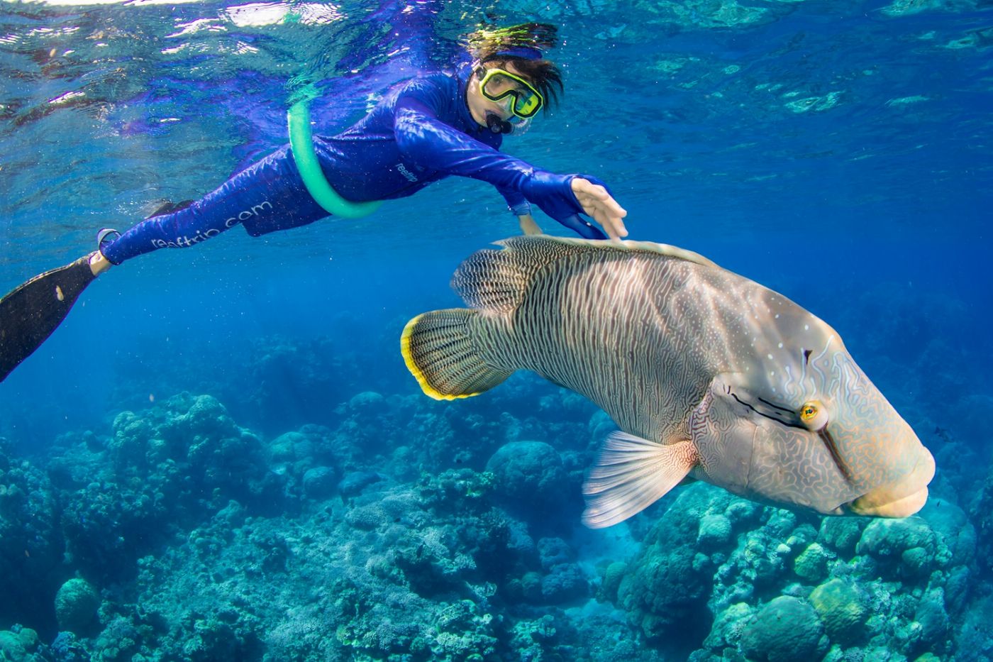Reef Encounter Snorkel Adventure 2D/1N