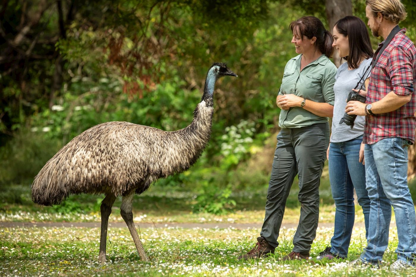 Autopia Tours Adelaide to Melbourne Original Tour (Shared Accommodation)