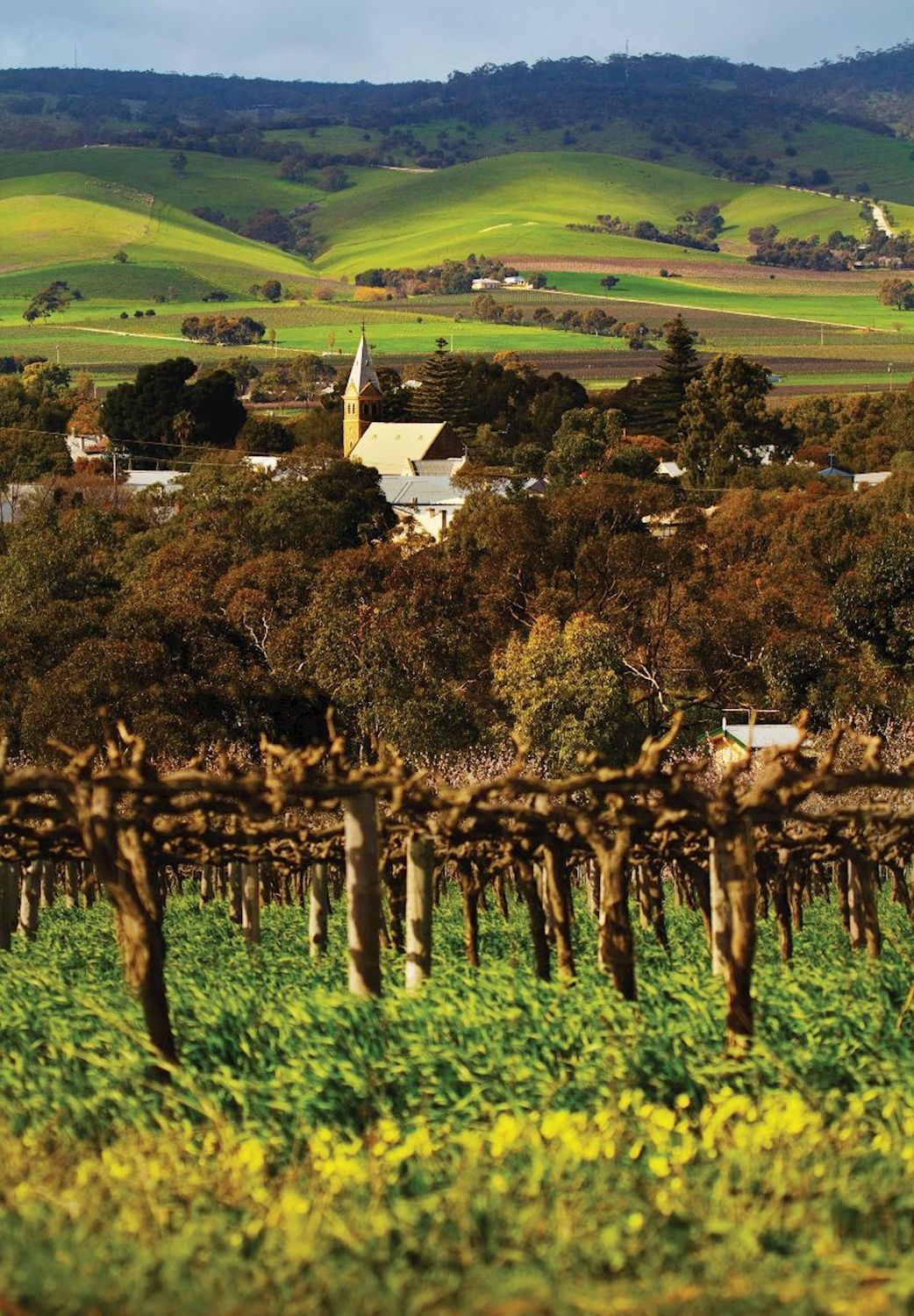 TrailHopper Tours Barossa Valley Hop-On Hop-Off Tour - City Pickup and Return
