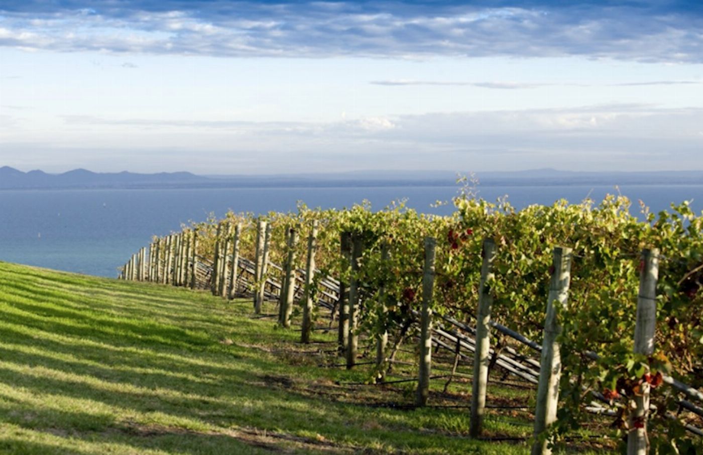 Explore Australia Around the Bay Food & Wine Taste Trail