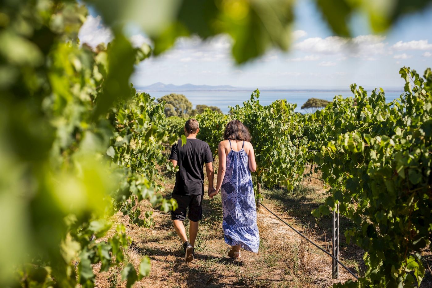 Explore Australia Around the Bay Food & Wine Taste Trail
