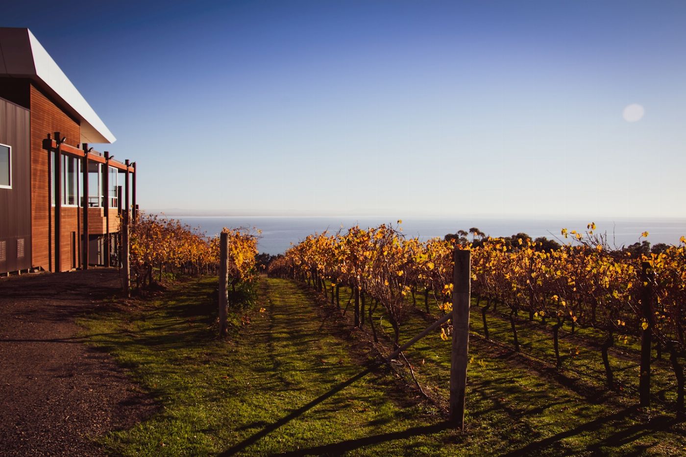 Explore Australia Around the Bay Food & Wine Taste Trail