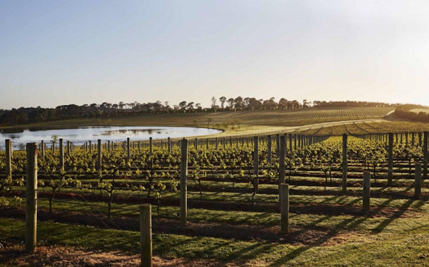 Explore Australia Mornington Peninsula Food & Wine Taste Trail