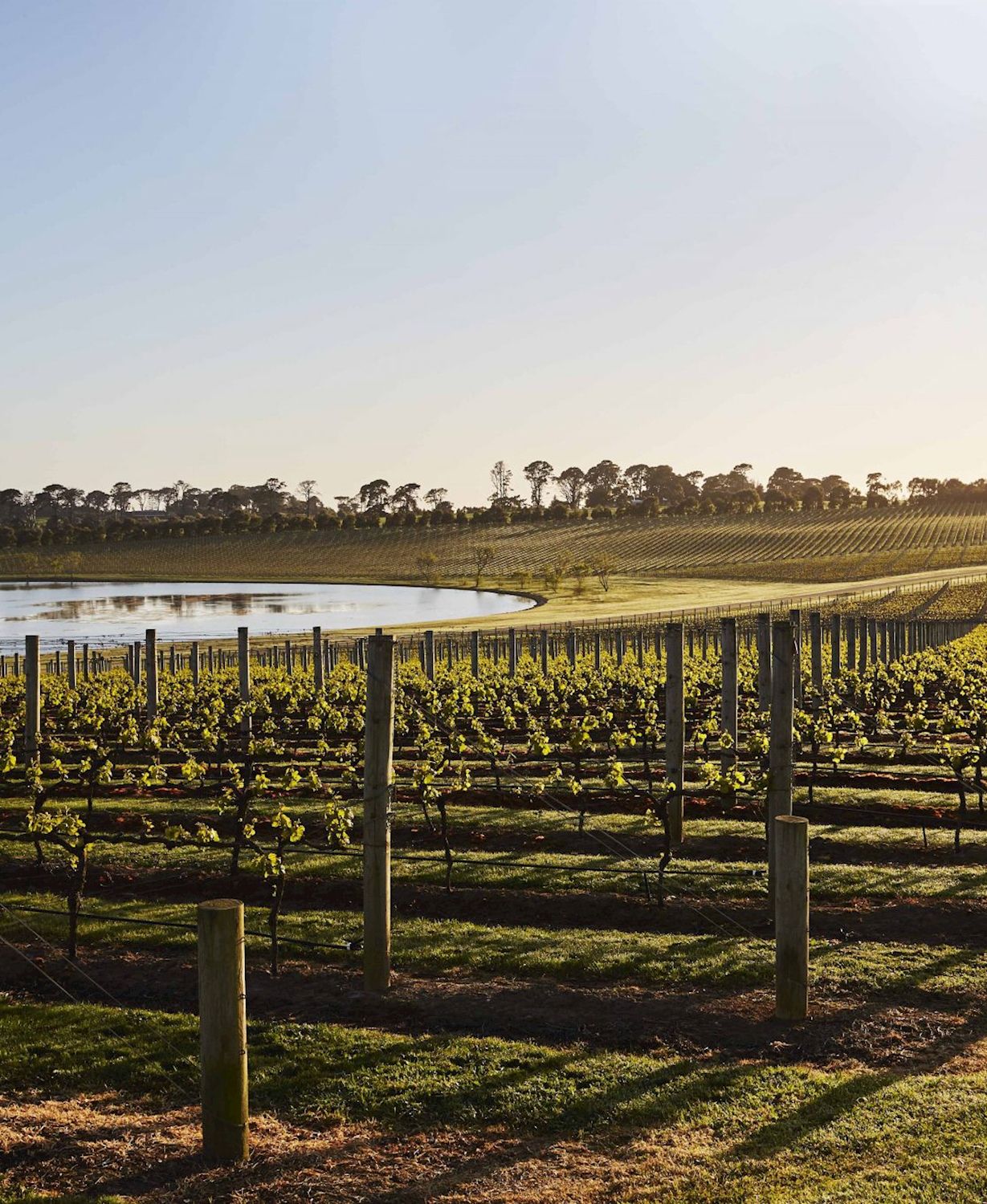 Explore Australia Mornington Peninsula Food & Wine Taste Trail