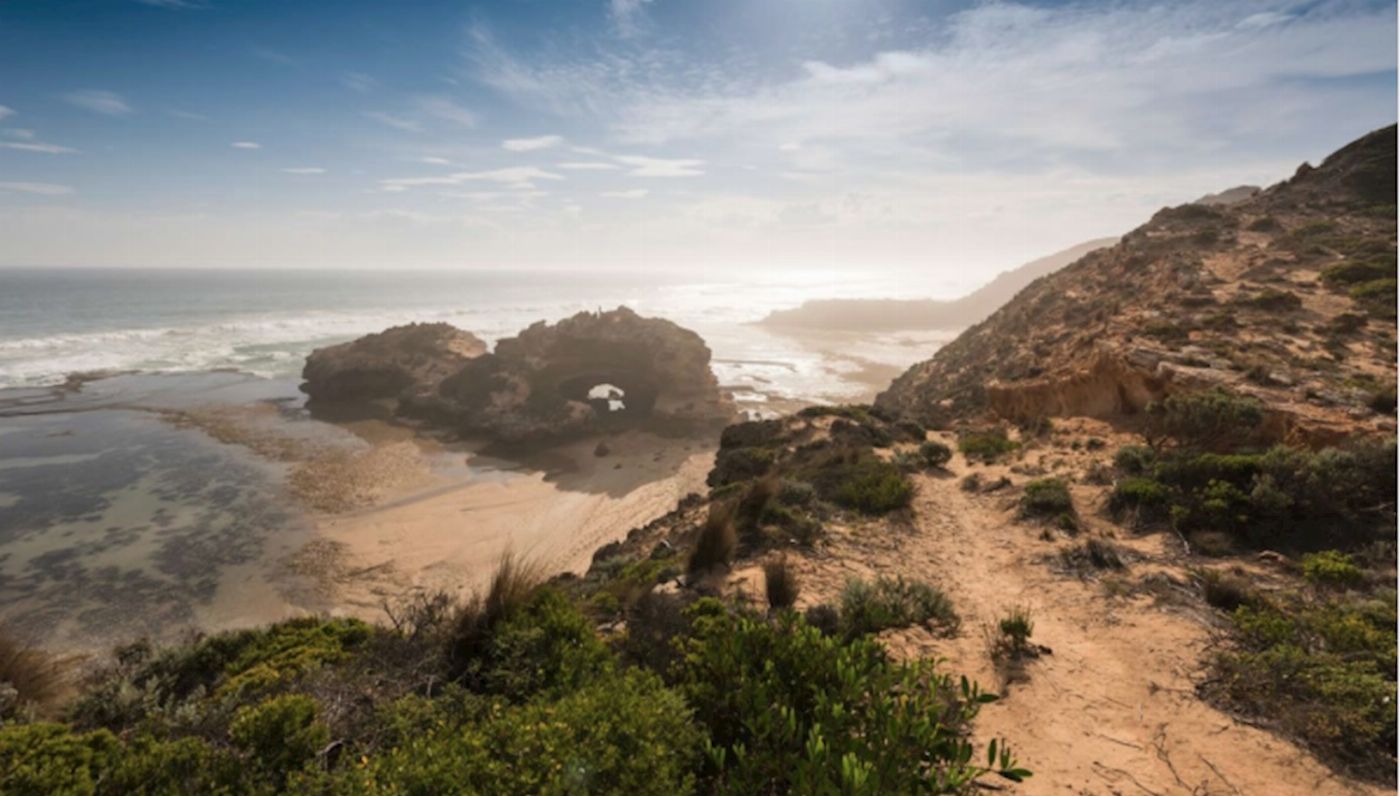 Explore Australia Around the Bay Sightseeing & Bay Cruise