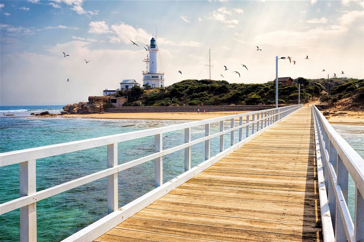 Explore Australia Around the Bay Sightseeing & Bay Cruise
