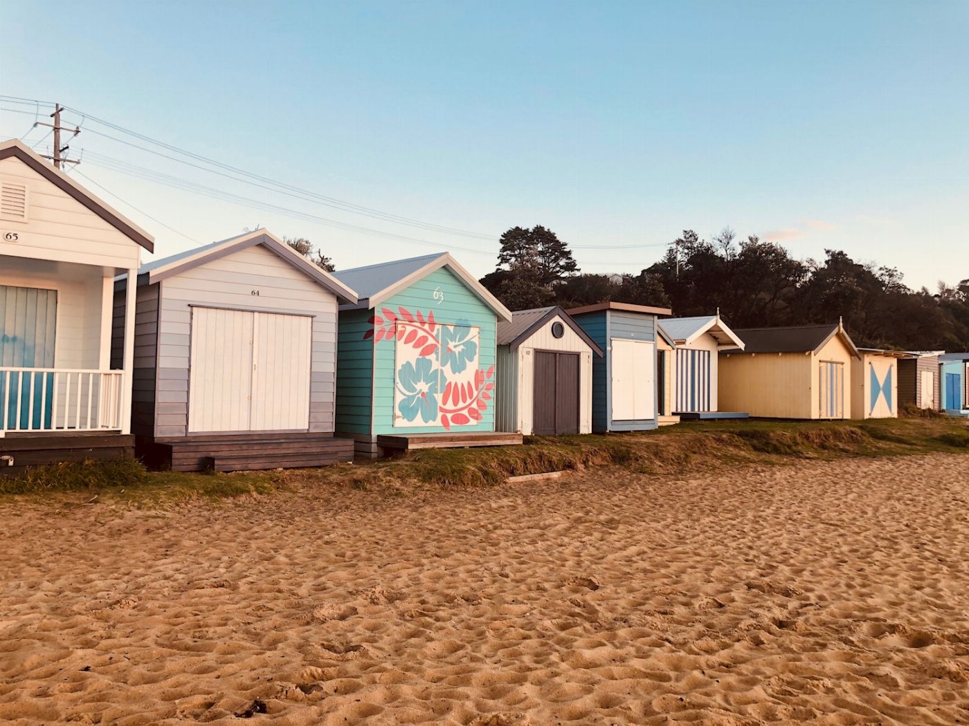 Explore Australia Mornington Peninsula Sightseeing with lunch