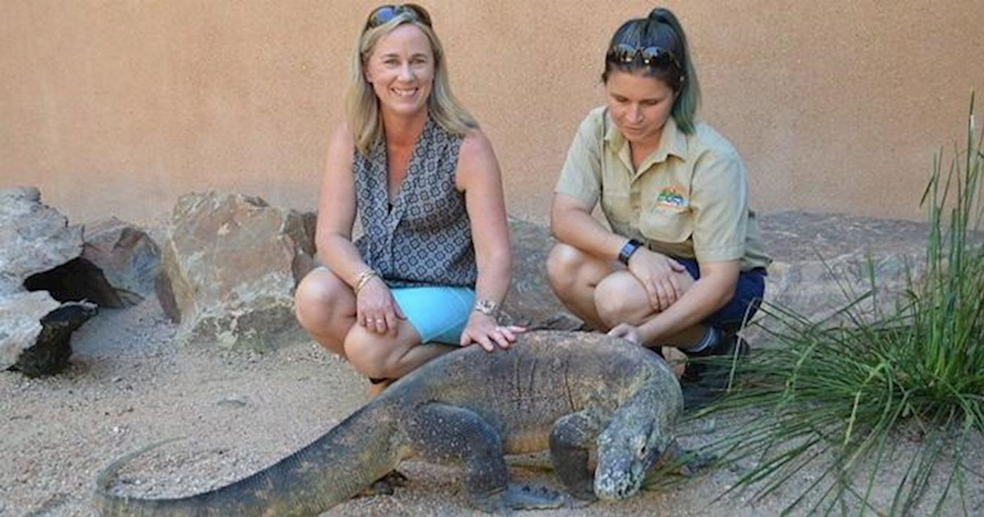 Hartley's Crocodile Adventures Reptastic 5 with Palm Cove transfers