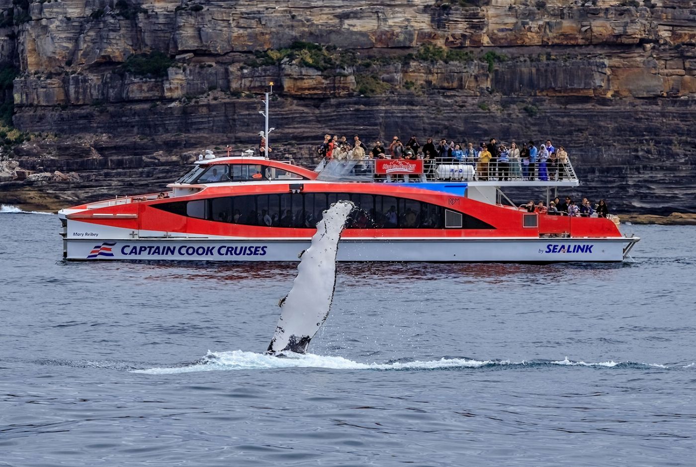 Captain Cook Cruises Sydney: Whale Watching & Harbour Explorer (2-Day Combo)