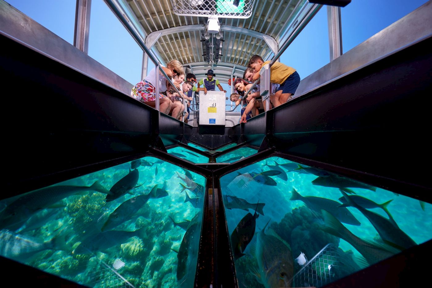 Big Cat Green Island Reef Cruises Green Island Full Day Tour (Late Start)